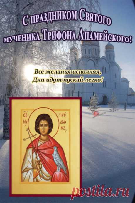 Картинки на Трифонов день: открытки с надписями на 14 февраля 2024