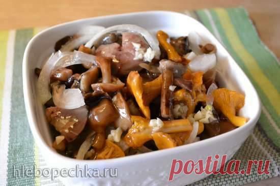 Грибы чернушки, свинушки и прочие подобные домашней засолки