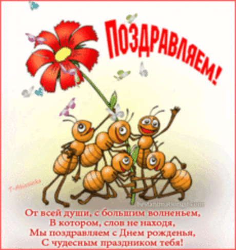 Поздравляем! - анимационные картинки и gif открытки