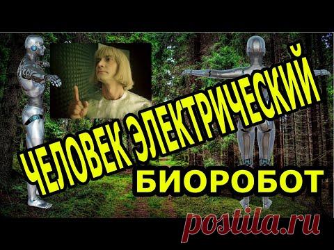 Человек ЭЛЕКТРИЧЕСКИЙ БИООРГАНИЗМ или Вечная жизнь возможна