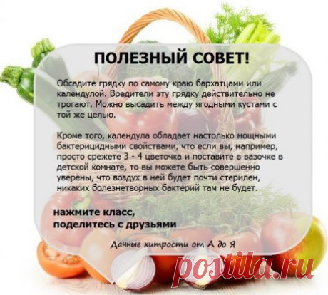 (53) Одноклассники