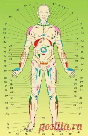 Висцеральная хиропрактика от профессора, доктора Огулова А. Т. Исцеление руками