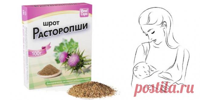 Польза и лечебные свойства шрота расторопши для организма