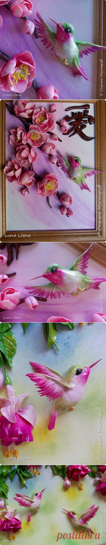 Яркий эльф тропического утра. Колибри. | Страна Мастеров
