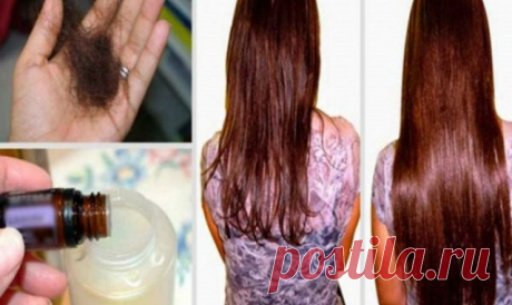 Просто добавьте эти два ингредиента в ваш шампунь и забудьте о проблеме выпадения волос! — Копилочка полезных советов