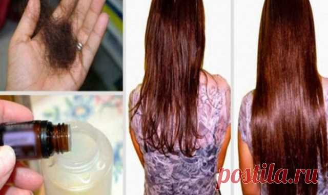 Просто добавьте эти два ингредиента в ваш шампунь и забудьте о проблеме выпадения волос! — Копилочка полезных советов