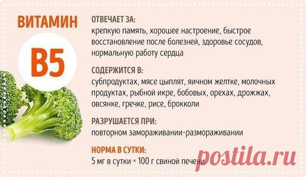 (3) Мой Мир@Mail.Ru