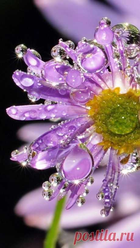 (345) Pinterest