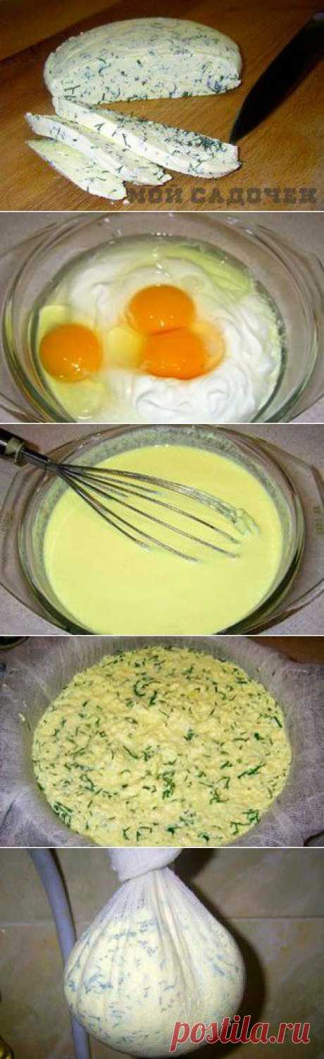 Домашний сыр с зеленью