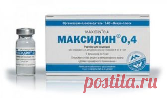 Ветеринарный препарат Максидин для собак и кошек: инструкция по применению Основные свойства ветеринарного препарата Максидин для собак и кошек, его характеристики, назначение, инструкция по применению, дозировка.