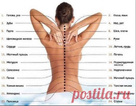 Изменения в позвоночнике нарушают все функции в организме