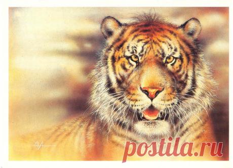 Изображение загружено на фотохостинг Япикс