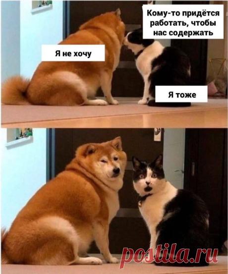 Работа - 15.10.23 13:25 | Пикабу