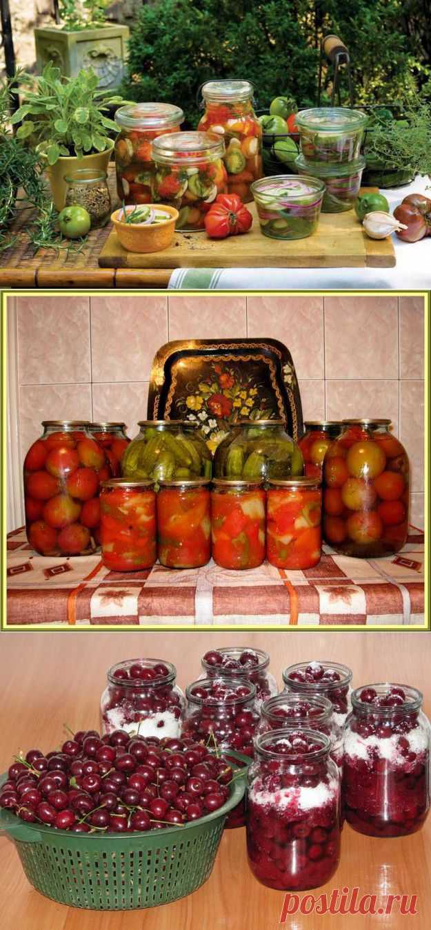 Заготовки на зиму . Мифы и реальность.