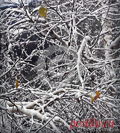 Stock Photos, Royalty-Free Images & Video Footage By Dreamstime Stock Photography