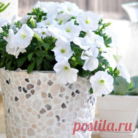 Для дома « At5.ru