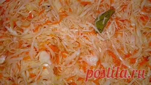 Быстрая капуста.