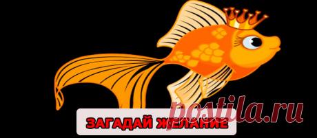 Загадай желание – Господи, как хочется шоколада! Такими словами нас встретила пограничница в аэропорту Санто-Доминго. Местное время – почти час ночи. – А у меня, кстати, есть, – говорю я. Снимаю рюкзак, расстегиваю его и достаю половину шоколадки. Разбирая холодильник перед отъездом, зачем-то захватила её с собой, думая съесть в дороге, но так и не съела. – …