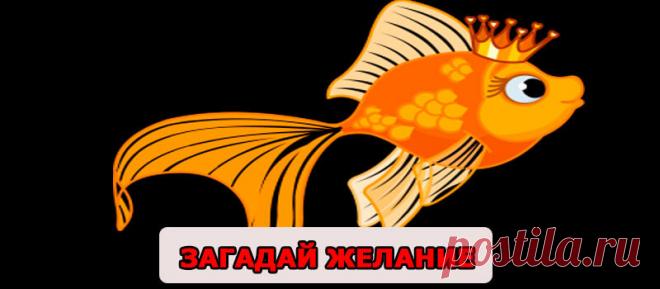 Загадай желание – Господи, как хочется шоколада! Такими словами нас встретила пограничница в аэропорту Санто-Доминго. Местное время – почти час ночи. – А у меня, кстати, есть, – говорю я. Снимаю рюкзак, расстегиваю его и достаю половину шоколадки. Разбирая холодильник перед отъездом, зачем-то захватила её с собой, думая съесть в дороге, но так и не съела. – …