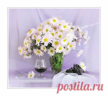 0 (36) - РОМАШКИ &lt;!--if(НАТЮРМОРТЫ И ЦВЕТЫ)--&gt;- НАТЮРМОРТЫ И ЦВЕТЫ&lt;!--endif--&gt; - Клипарт/Картины/Фотонатюрморты - Открытки и Дизайн от Искательницы Ailona