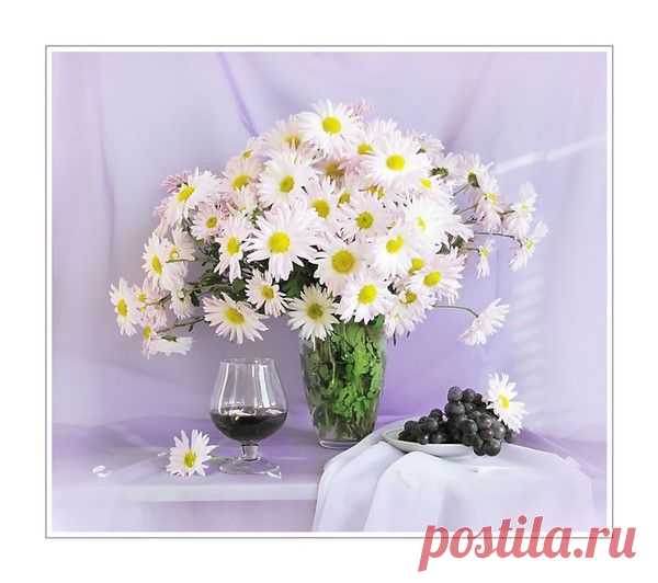 0 (36) - РОМАШКИ <!--if(НАТЮРМОРТЫ И ЦВЕТЫ)-->- НАТЮРМОРТЫ И ЦВЕТЫ<!--endif--> - Клипарт/Картины/Фотонатюрморты - Открытки и Дизайн от Искательницы Ailona