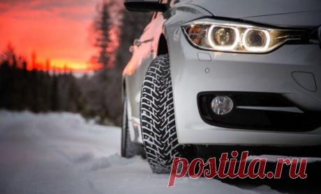 О шипах | АВТОБЛОГИ