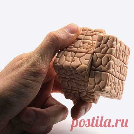 Что любит и не любит наш мозг | Я - Женщина