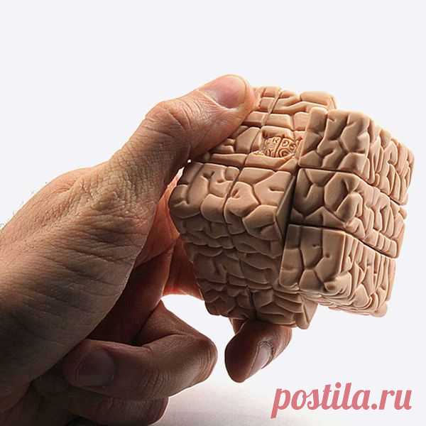 Что любит и не любит наш мозг | Я - Женщина