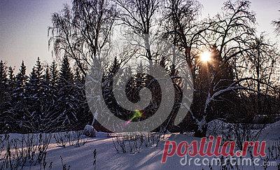 Stock Photos, Royalty-Free Images & Video Footage By Dreamstime Stock Photography