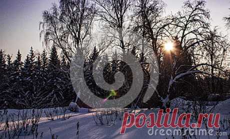 Stock Photos, Royalty-Free Images & Video Footage By Dreamstime Stock Photography