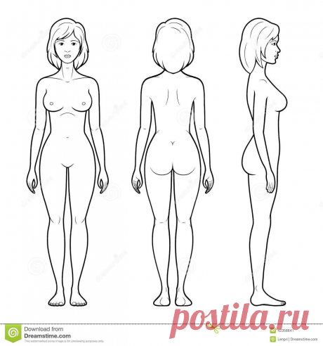 illustration-female-figure-vector-front-back-side-view-outline-42358841.jpg (1300×1390)