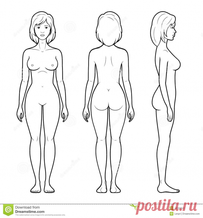 illustration-female-figure-vector-front-back-side-view-outline-42358841.jpg (1300×1390)