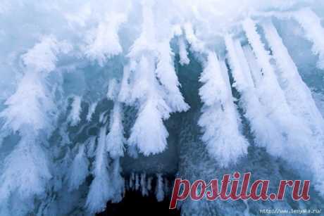 ЛЕДЯНАЯ МОЩЬ БАЙКАЛА В ФОТОГРАФИЯХ! Январь. Всё, что можно, уже замёрзло, столбик термометра опускался до -40. Байкал встаёт, рвёт лёд, образуются торосы, где то парят открытые участки воды. Но до них далеко и ещё опасно. Пройдём по берегу. Местность за Туркой. В этом месте гора у посёлка загораживает солнце, берег освещается лишь пару часов в день. На Байкале тепло, перепад с городом — градусов 15. Волны сделали своё дело, слой ледяных наплесков у берега достигает метра, а в некоторых местах…