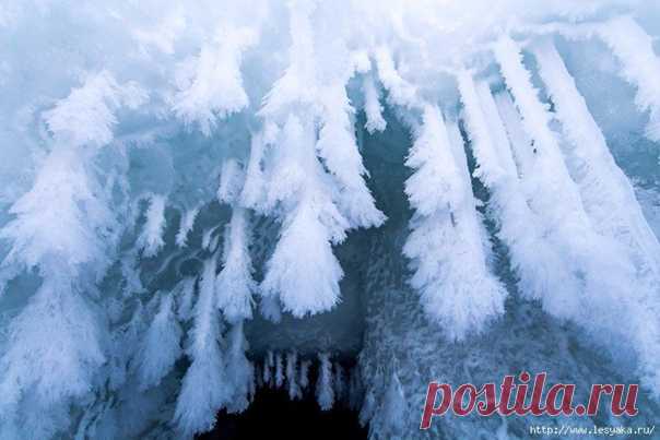 ЛЕДЯНАЯ МОЩЬ БАЙКАЛА В ФОТОГРАФИЯХ! Январь. Всё, что можно, уже замёрзло, столбик термометра опускался до -40. Байкал встаёт, рвёт лёд, образуются торосы, где то парят открытые участки воды. Но до них далеко и ещё опасно. Пройдём по берегу. Местность за Туркой. В этом месте гора у посёлка загораживает солнце, берег освещается лишь пару часов в день. На Байкале тепло, перепад с городом — градусов 15. Волны сделали своё дело, слой ледяных наплесков у берега достигает метра, а в некоторых местах…