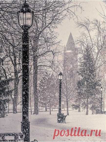 Интересные новости