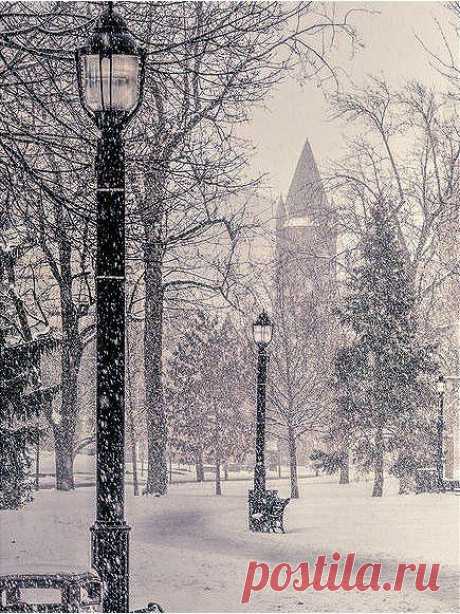 Интересные новости