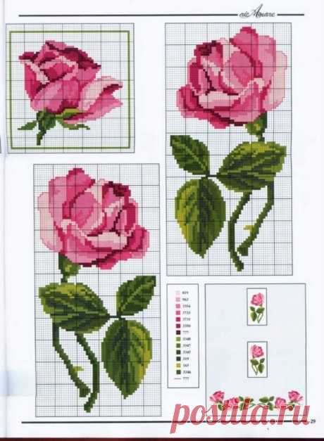 (12) Facebook