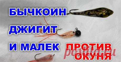 Бычкоин, джигит и малек против окуня - видео онлайн. Сайт Новосибирских рыбаков Видео: Бычкоин, джигит и малек против окуня -  бесплатно. Рубрика: Обзоры снастей. Добавлено пользователем kolesnik.ivan.vl в 2018 году. Эти силиконовые приманки превосходно показали себя при ловле налима и хариуса на Байкале. Но смогут ли они противостоять Братскому окуню?