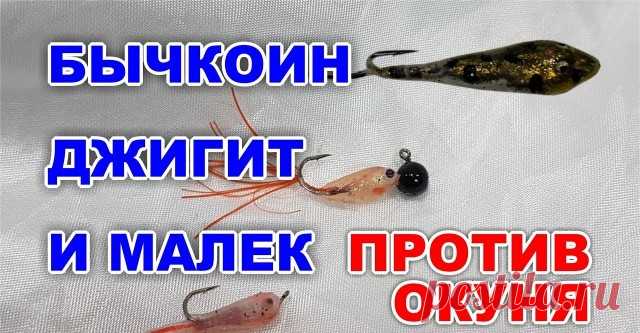 Бычкоин, джигит и малек против окуня - видео онлайн. Сайт Новосибирских рыбаков Видео: Бычкоин, джигит и малек против окуня -  бесплатно. Рубрика: Обзоры снастей. Добавлено пользователем kolesnik.ivan.vl в 2018 году. Эти силиконовые приманки превосходно показали себя при ловле налима и хариуса на Байкале. Но смогут ли они противостоять Братскому окуню?