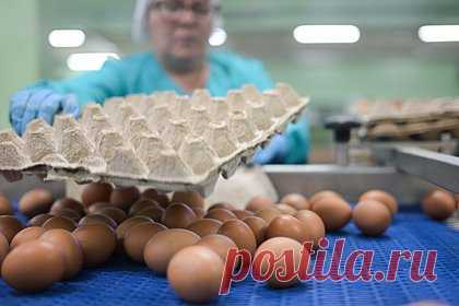 Еще одна дружественная страна начнет поставки яиц в Россию. Иран планирует в течение 20 дней отправить в Россию первую партию куриных яиц, сообщил журналистам председатель союза птицеводов страны Хамид Реза Кашани. По его словам, поставки продукта нормализовались после снятия ограничений на экспорт, вступивших в силу в октябре 2023 года.