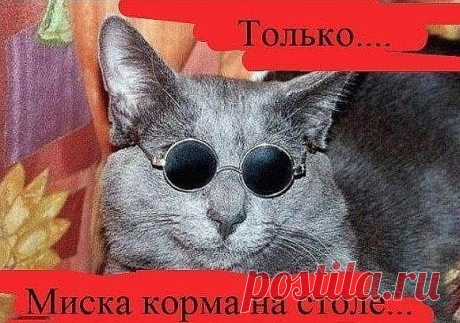Прикольный))))))