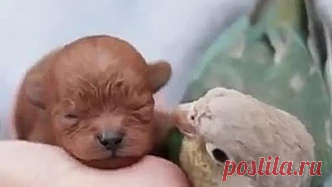 VID-20200131-WA0004.mp4