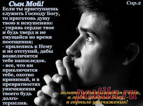 ...Кому-то нравятся слова «также и младшие, повинуйтесь пастырям», но не замечаются слова «подчиняясь друг другу». О гнусной корысти и говорить не приходится. Многие просто погрязли в этом. Поэтому нет авторитета и уважения.

Крайности — это то, в чем двигается большинство христиан. Подчинение из страха не бывает. Подчинение выходит из послушания Богу..