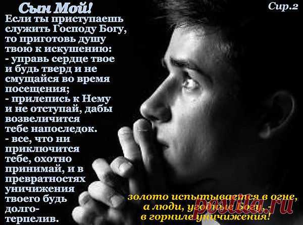 ...Кому-то нравятся слова «также и младшие, повинуйтесь пастырям», но не замечаются слова «подчиняясь друг другу». О гнусной корысти и говорить не приходится. Многие просто погрязли в этом. Поэтому нет авторитета и уважения.

Крайности — это то, в чем двигается большинство христиан. Подчинение из страха не бывает. Подчинение выходит из послушания Богу..