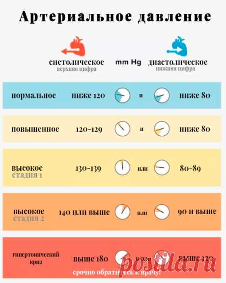Важность нижнего давления и его параметры | МедНовости | Яндекс Дзен
