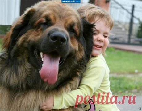 "Бобик, только не слизни меня!" / Фото-приколы 11 | Funny Photo 11