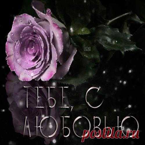 Веселое настроение - лучшее лекарство!