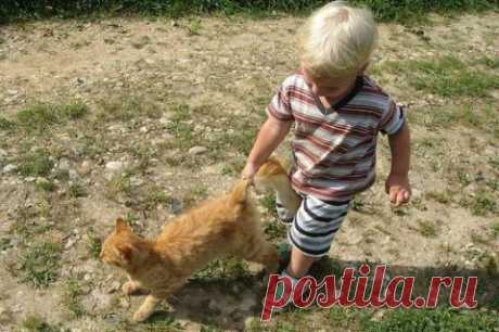 Доброта начинается с детства