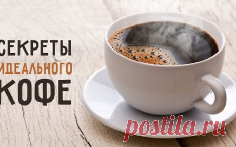 Как приготовить идеальный кофе: 7 секретов от бариста
