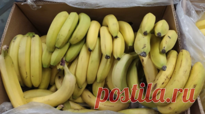 В порту Петербурга на прибывшем из Эквадора судне с бананами нашли 60 кг кокаина. На судне с бананами из Эквадора в петербургском порту нашли 60 кг кокаина. Читать далее